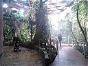 WP_000257.jpg