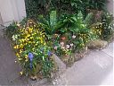 WP_000374.jpg