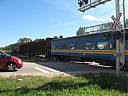IMG_3668.jpg