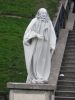 IMG_7798.JPG