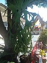 cm_20140206_9.jpg