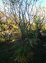 ec_001020.jpg