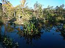 Filename=ec_001025.jpg
Filesize=229KiB
Dimensions=718x538
Date added=Mar 24, 2014 ec_001025.jpg