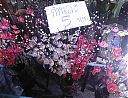 WP_20140209_16.jpg