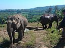 WP_000977.jpg