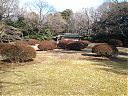 WP_000634.jpg