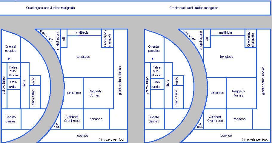 Garden Plan for 1999