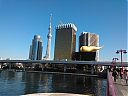 WP_000705.jpg